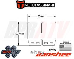 Pétales de lamelles de remplacement en paire GENUINE Moto Tassinari VFORCE4 pour cylindre Banshee Cub